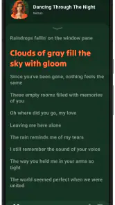 Lark Player: Lettore musicale screenshot
