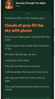 Lark Player: Lettore musicale screenshot 4