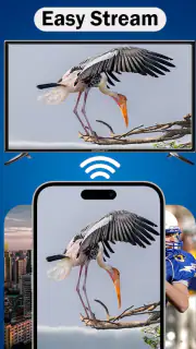 MirrorLink screenshot 6