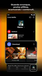 Netflix screenshot