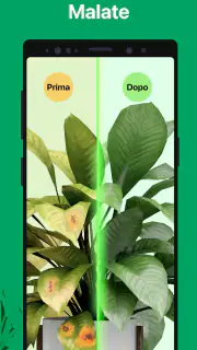 PictureThis Identificar Planta screenshot 7