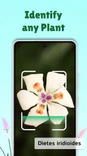 PlantMe - Plant identification screenshot 1