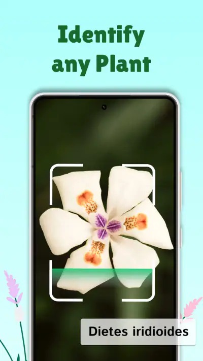 PlantMe - Plant identification screenshot 1