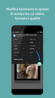 Plugin per i servizi di stampa screenshot 4