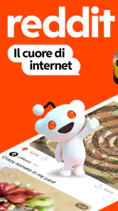 Reddit screenshot