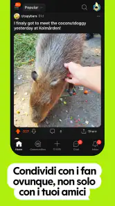 Reddit screenshot