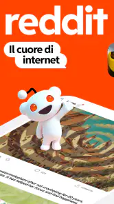 Reddit screenshot