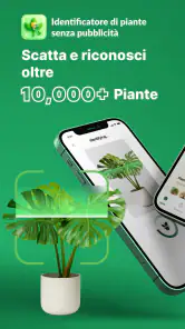 Riconoscimento Piante & Cura screenshot