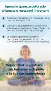 Sound Profile screenshot