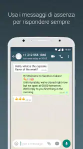 WhatsApp Business screenshot