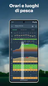 Windy.app: vento, onde e maree screenshot