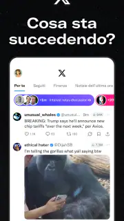 X (Precedentemente Twitter) screenshot 1