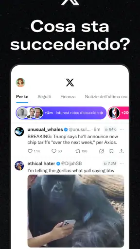 X (Precedentemente Twitter) screenshot 1
