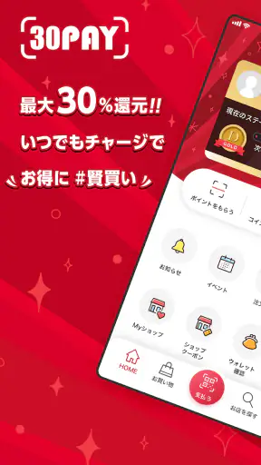 30PAY screenshot 1