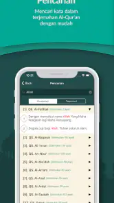 Al Quran Indonesia screenshot