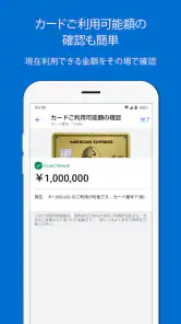 Amex Japan screenshot