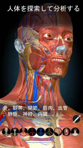 Anatomy Learning - 3D解剖学 screenshot 1