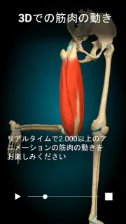 Anatomy Learning - 3D解剖学 screenshot 8