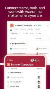 Asana screenshot