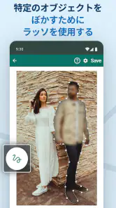 Blur Video & Image screenshot
