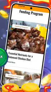 Chicken Road screenshot