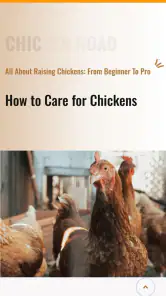 Chicken Road screenshot