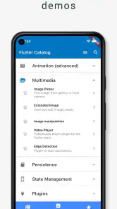 Flutter Catalog screenshot