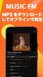 FM Music Story screenshot