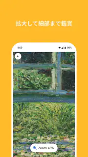 Google Arts & Culture screenshot 6