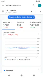 Google アナリティクス screenshot