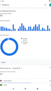 Google アナリティクス screenshot