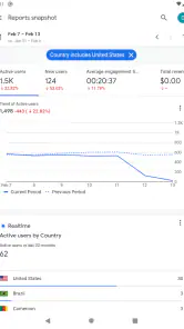 Google アナリティクス screenshot