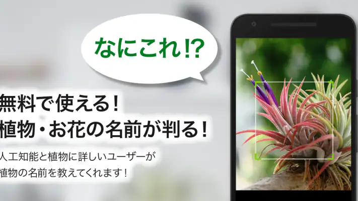 GreenSnap - 植物・花の名前が判る写真共有アプリ screenshot 1