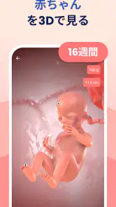 HiMommy 妊娠、妊活、月経、陣痛 screenshot