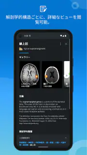 IMAIOS e-Anatomy screenshot 5