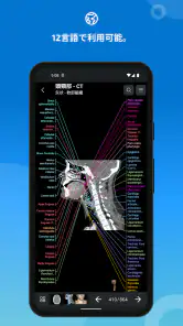 IMAIOS e-Anatomy screenshot