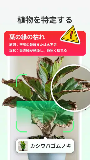 LeafCheck：植物識別とケア screenshot 1