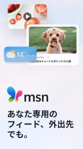 MSN screenshot