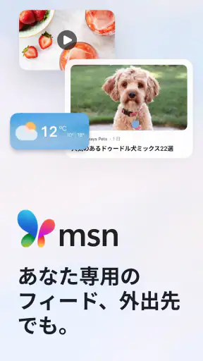 MSN screenshot 1