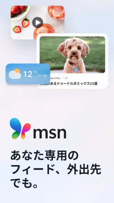 MSN screenshot 1