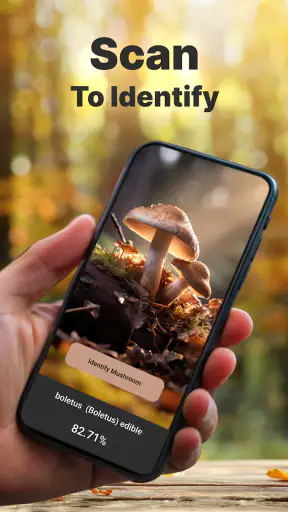 Mushroom Identification screenshot 1