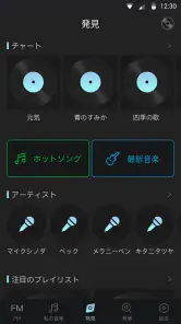 Music Story - FM Music screenshot