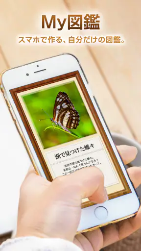My図鑑 〜コレクション管理・整理アプリ〜 screenshot 1