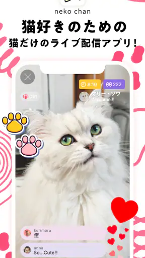 nekochan - 猫だけのライブ配信で癒されよう！ screenshot 1