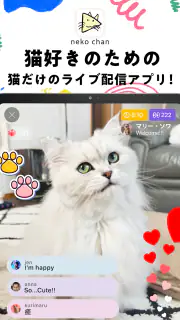 nekochan - 猫だけのライブ配信で癒されよう！ screenshot 7
