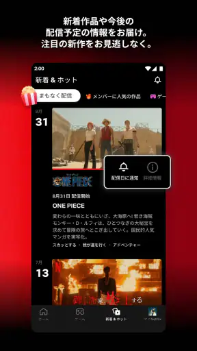 Netflix screenshot 1