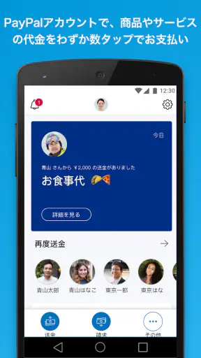 PayPal screenshot 1