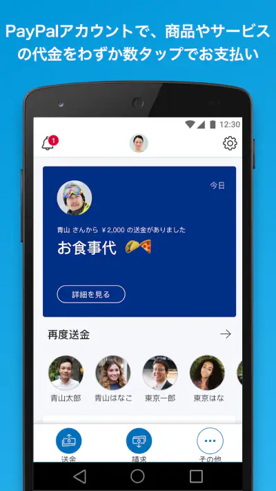 PayPal screenshot 1