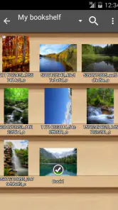 Perfect Viewerに寄付 screenshot