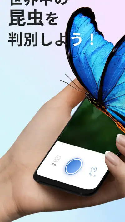 Picture Insect：撮ったら、判る-1秒昆虫図鑑 screenshot 1